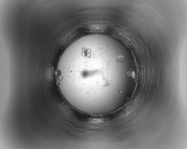 X0000096960649200802221343