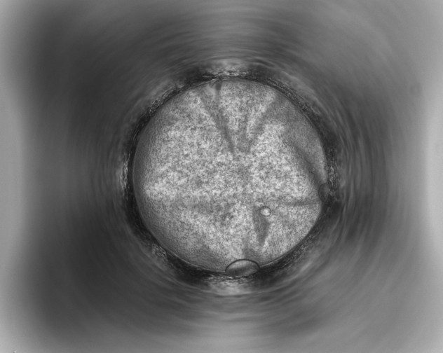 X0000096960652200802221343