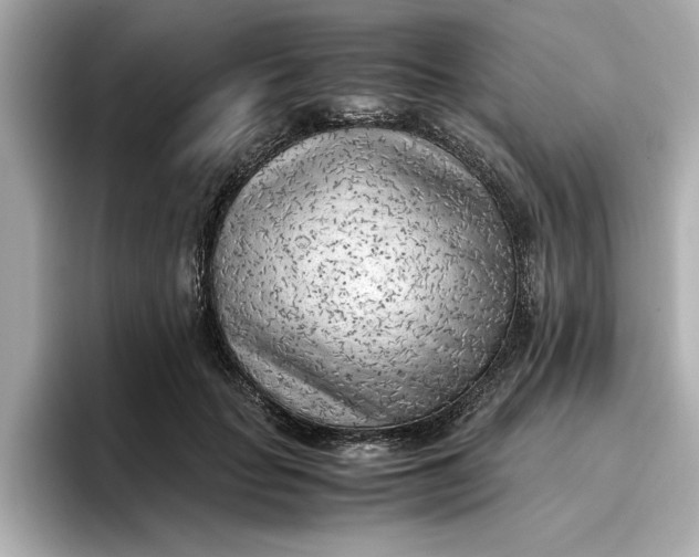 X0000096960653200802221343