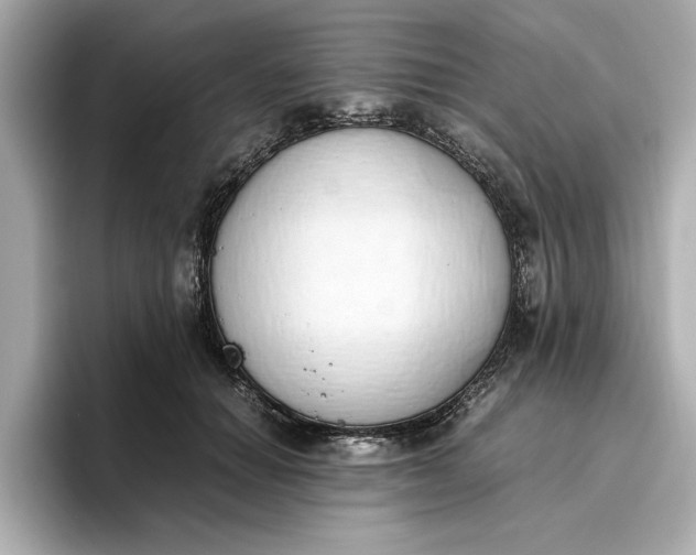 X0000096960654200802221343