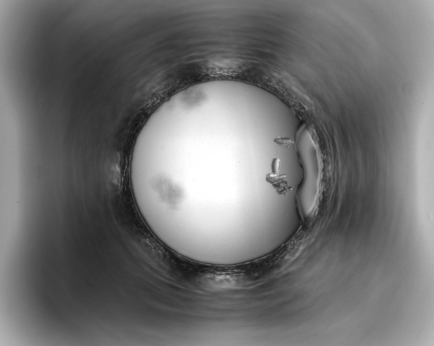 X0000096960655200802221343