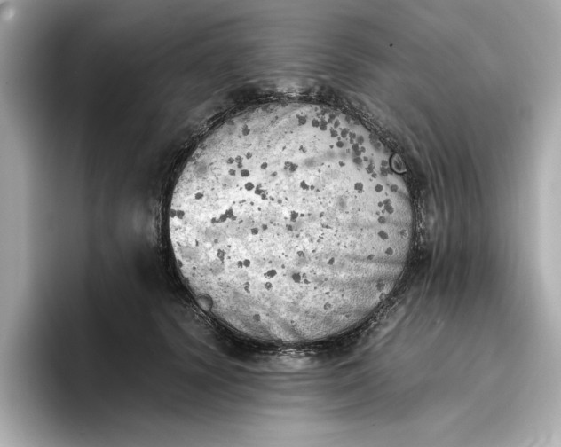 X0000096960656200802221343