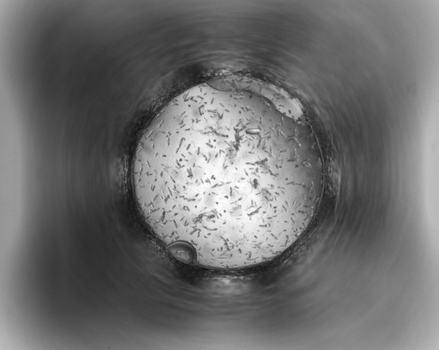 X0000096960657200802221343