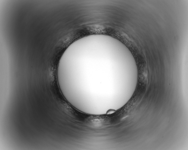 X0000096960658200802221343