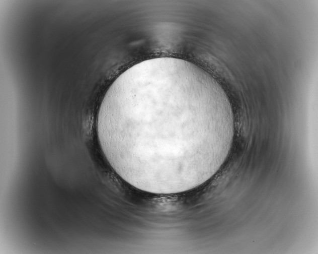 X0000096960660200802221343