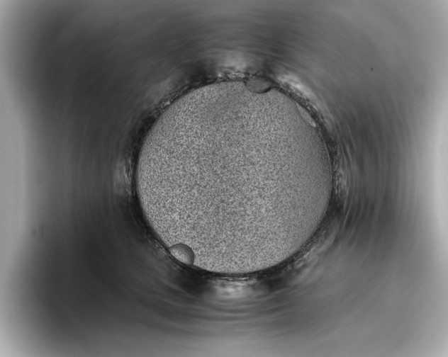 X0000096960661200802221343