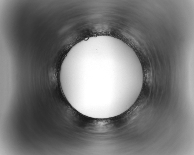 X0000096960662200802221343