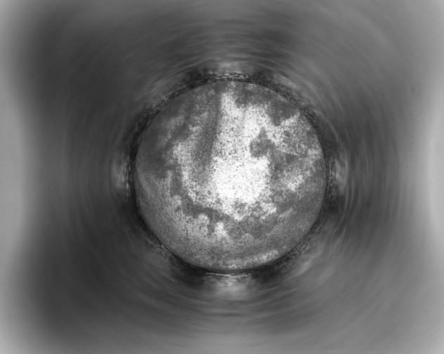 X0000096960663200802221343