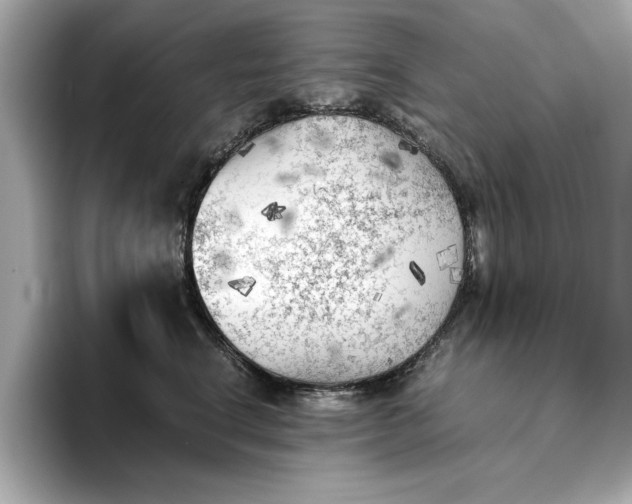 X0000096960664200802221343