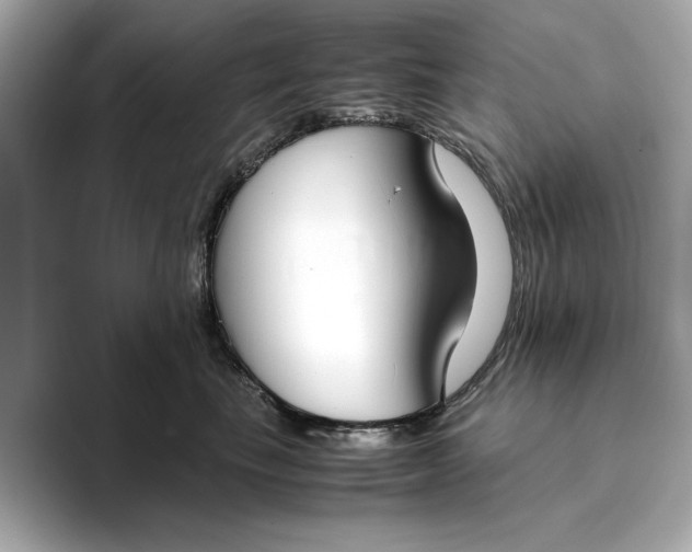 X0000096960665200802221343