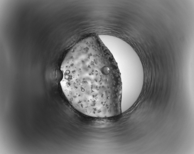 X0000096960666200802221343