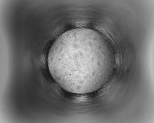 X0000096960667200802221343