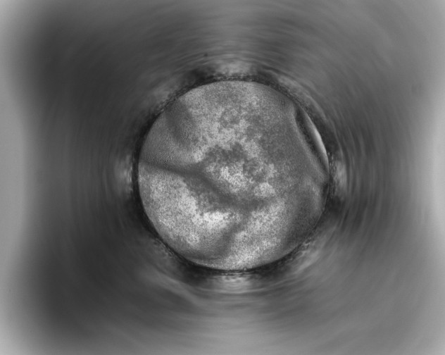 X0000096960668200802221343