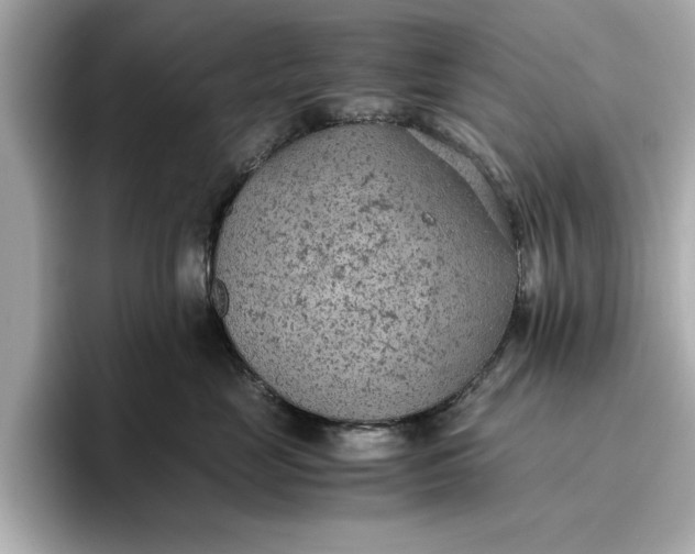 X0000096960669200802221343