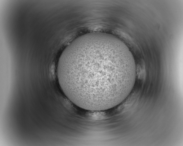 X0000096960670200802221343