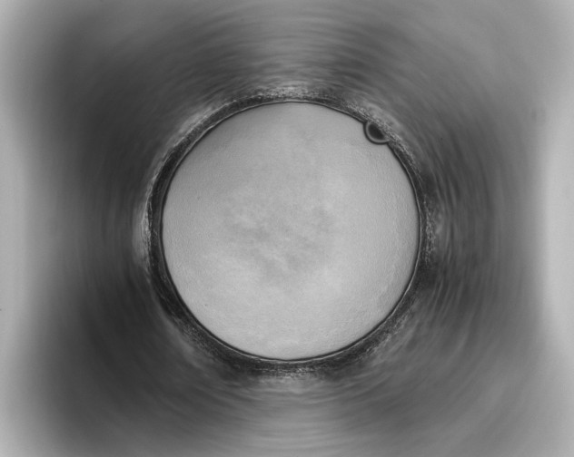 X0000096960674200802221343