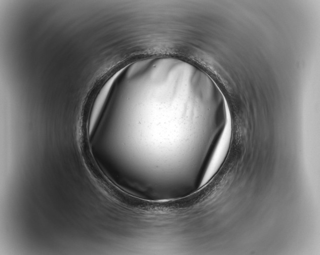 X0000096960677200802221343