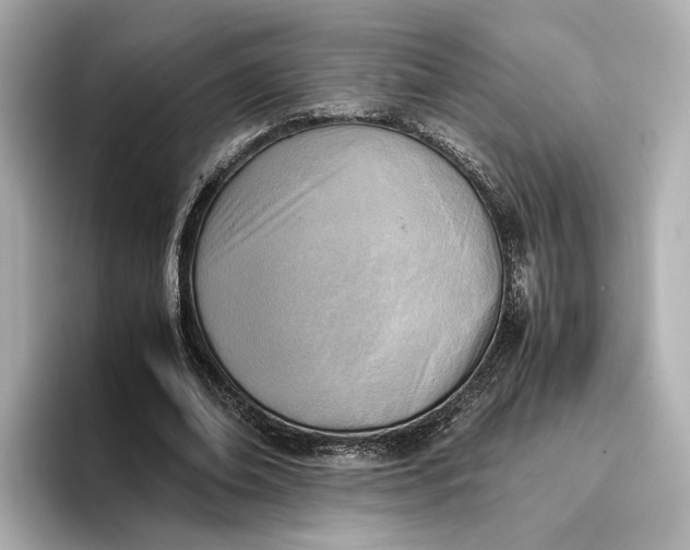 X0000096960678200802221343