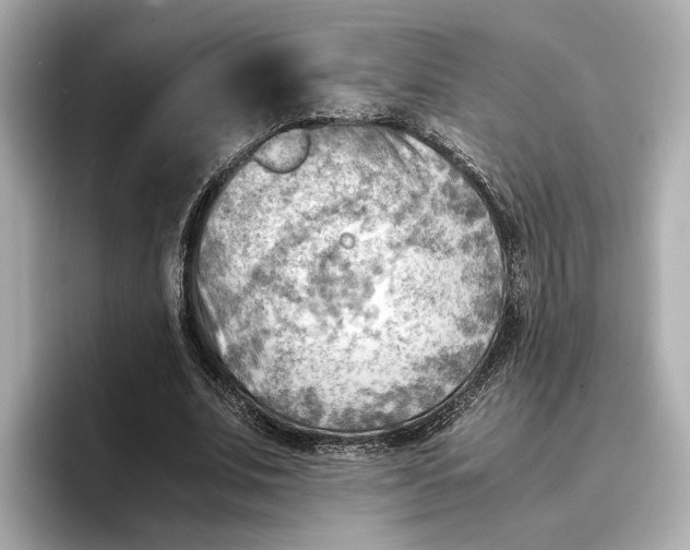 X0000096960679200802221343