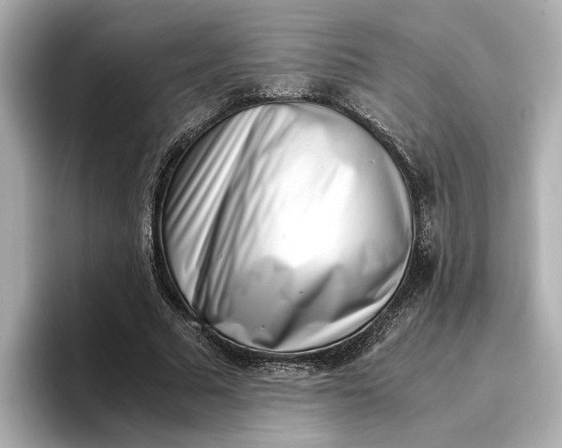 X0000096960681200802221343