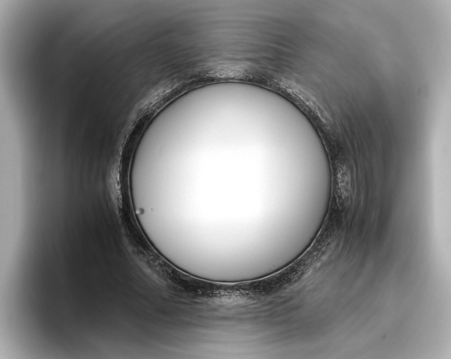 X0000096960682200802221342