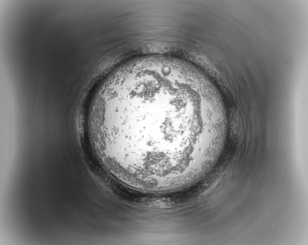 X0000096960683200802221342