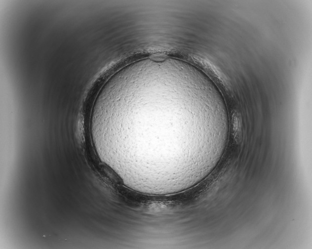 X0000096960684200802221342