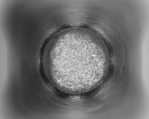 X0000096960687200802221342