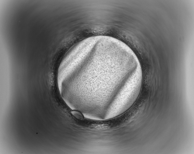 X0000096960689200802221342