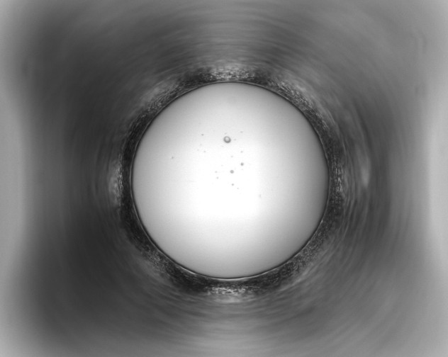 X0000096960690200802221342