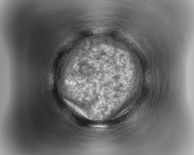 X0000096960691200802221342