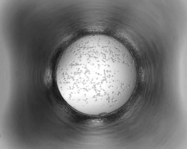 X0000096960692200802221342