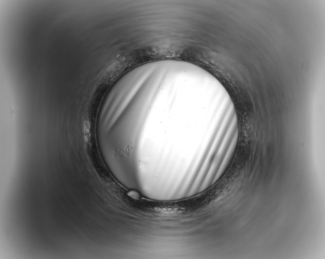 X0000096960693200802221342