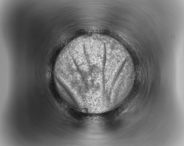 X0000096960695200802221342