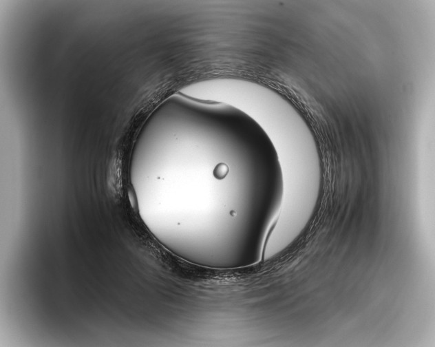 X0000096960696200802221342