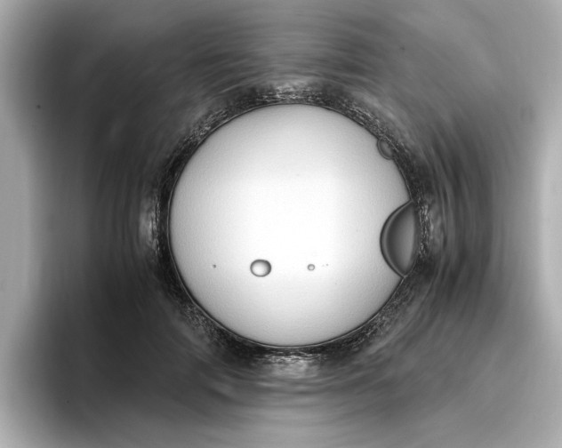 X0000096960698200802221342