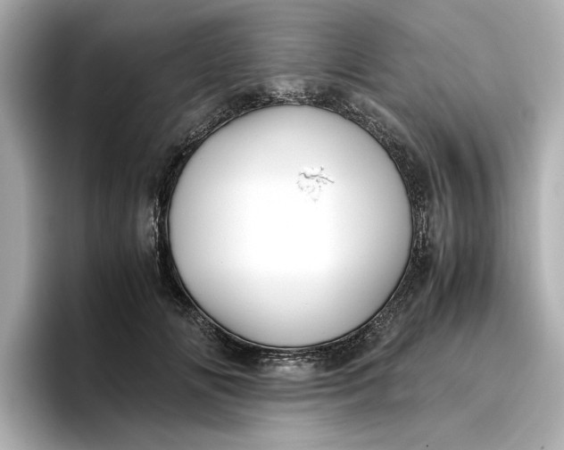 X0000096960702200802221342