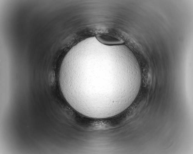 X0000096960704200802221342