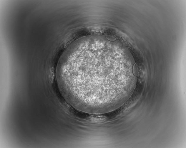 X0000096960707200802221342