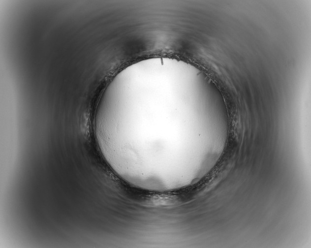 X0000096960708200802221342