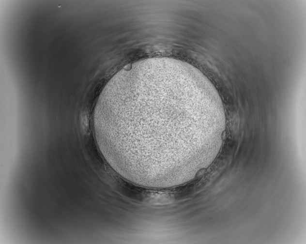 X0000096960709200802221342