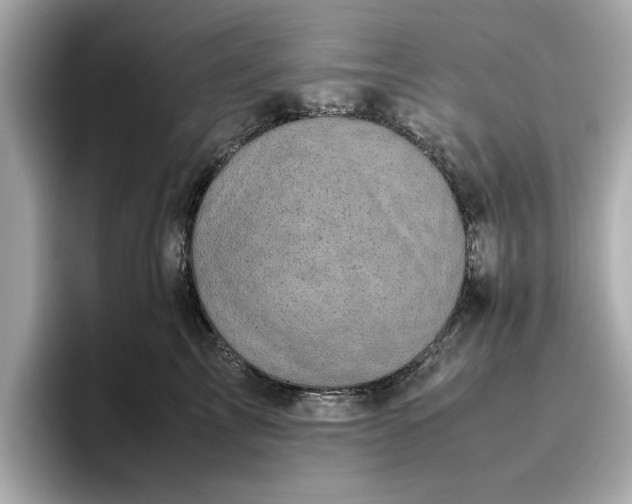 X0000096960713200802221342