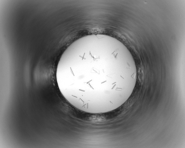 X0000096960714200802221342