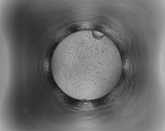 X0000096960715200802221342