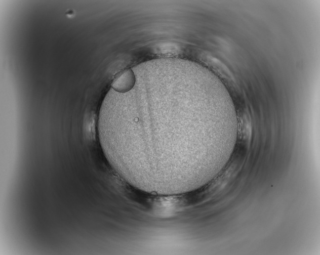 X0000096960717200802221342