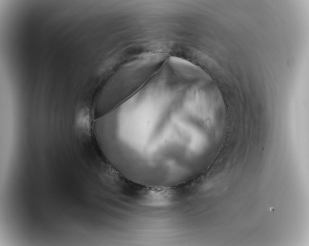 X0000096960720200802221342