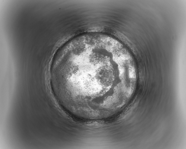 X0000096960721200802221341