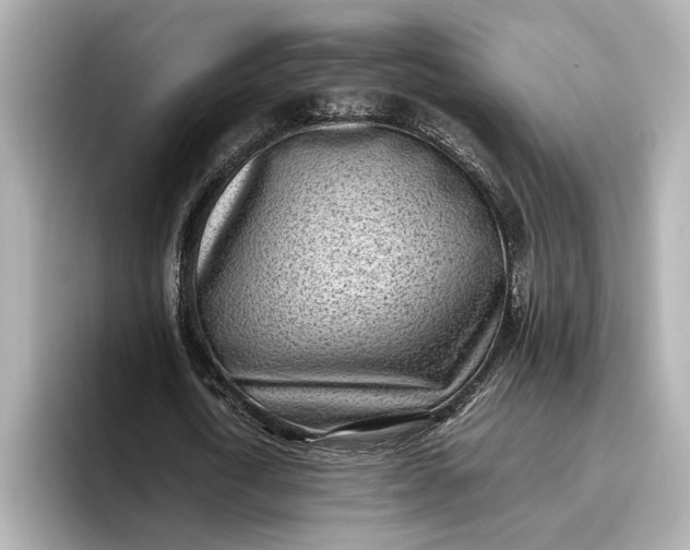 X0000096960722200802221341