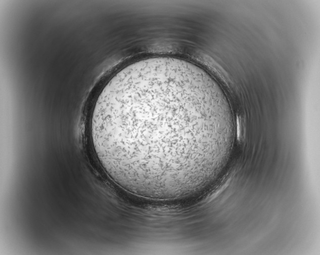 X0000096960723200802221341