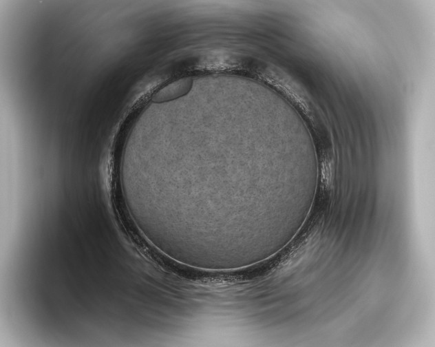 X0000096960724200802221341